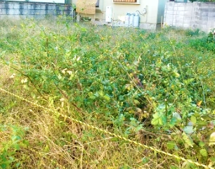 空き家の管理の負担から解放されたご様子